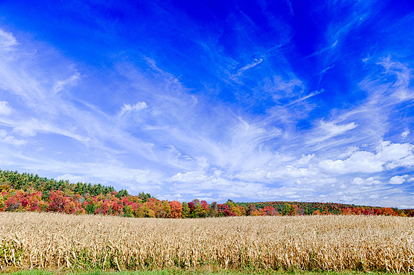 Fall in Vermont