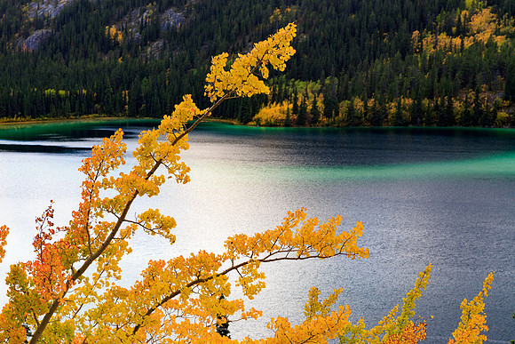 Emerald Lake