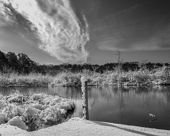 Greenbriar Fine Art B&W