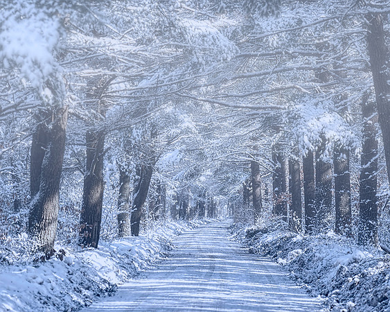 Pilgrim Road. Sandwich, MA