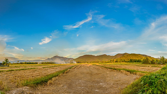 Burning in the fields
