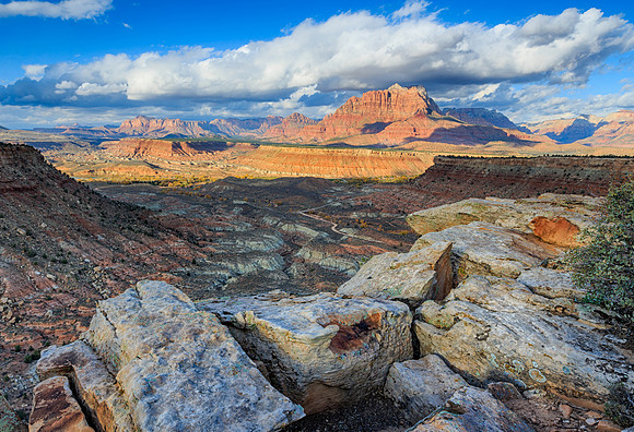 Zion: View from a Cliff