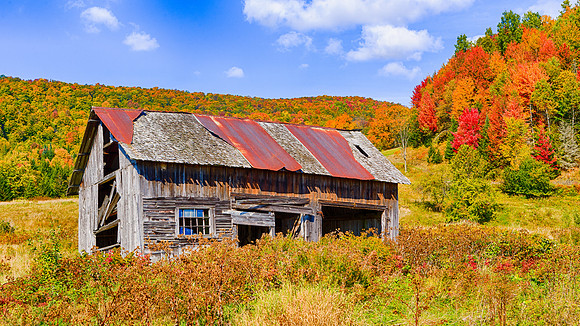 Fall in Vermont